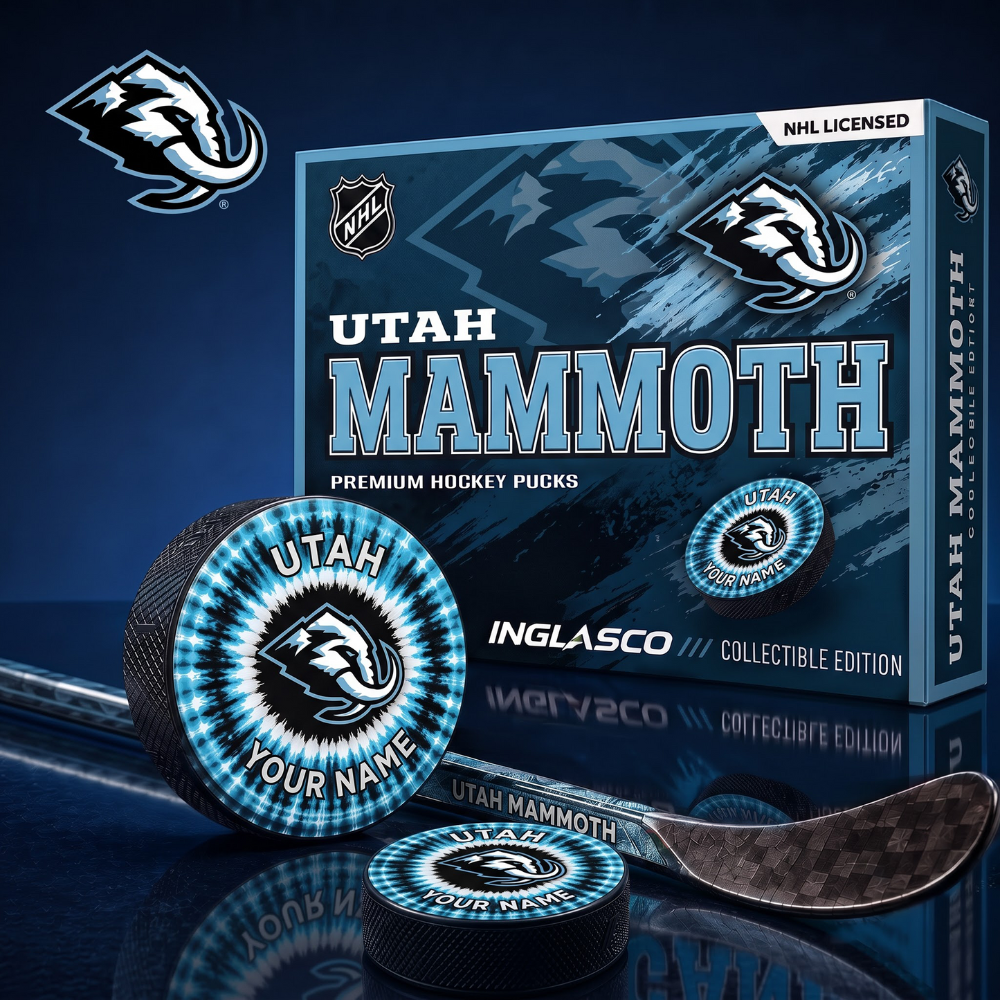 UM_NHL Premium Hockey Pucks